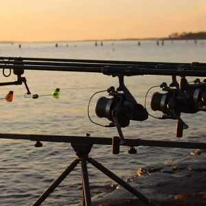 carpfishing-Lago-de-Mequinenza-carpfishing-en-Aragon-carpas-trofeo-Mequinenza-carpfishing-en-Espana-pesca-captura-y-suelta.webp